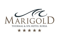 Marigold Hotel